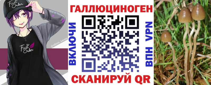 где купить наркотик  Гаджиево  гидра ТОР  Псилоцибиновые грибы ЛСД 